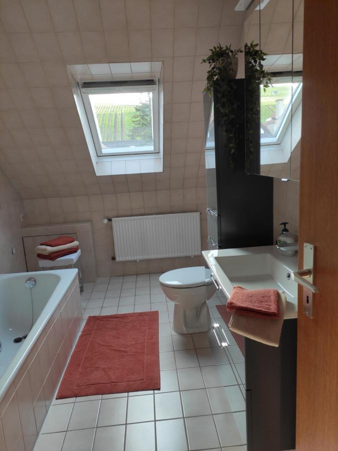 Ferienwohnung Unter Dem Sonnberg Auggen Dış mekan fotoğraf