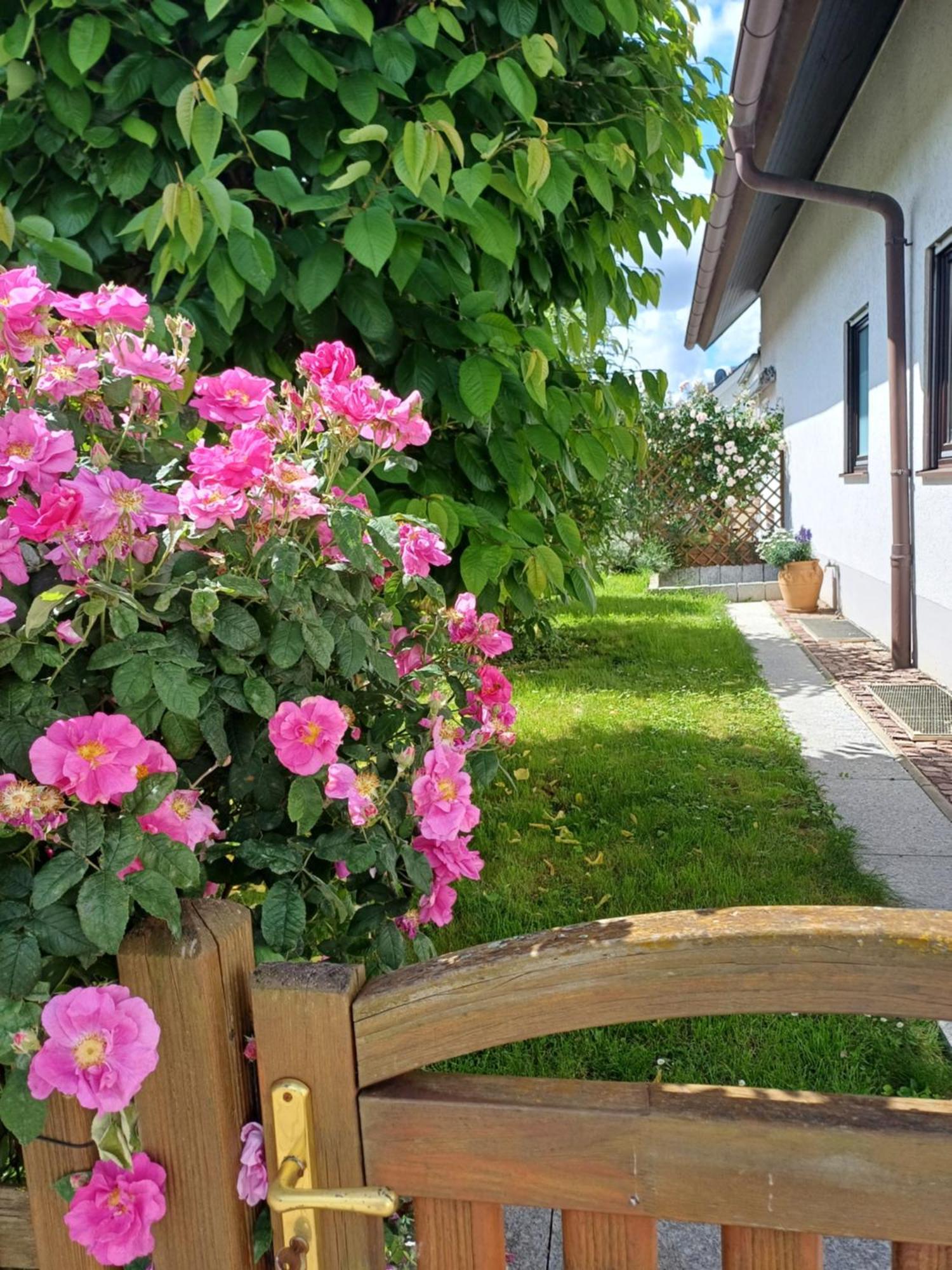 Ferienwohnung Unter Dem Sonnberg Auggen Dış mekan fotoğraf